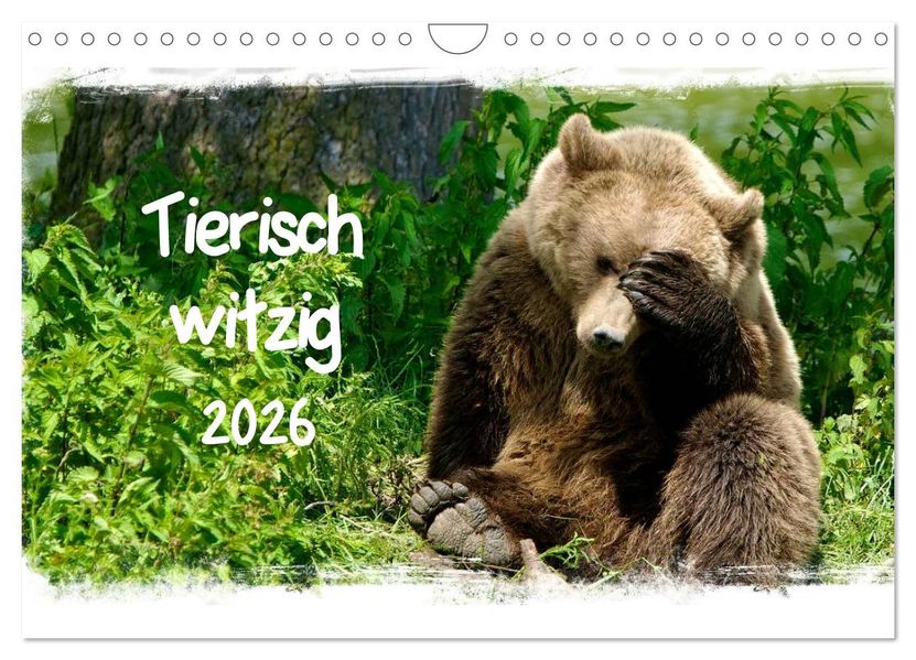Tierisch witzig (Wandkalender 2026 DIN A4 quer) CALVENDO Monatskalender