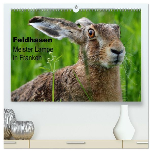 Feldhasen - Meister Lampe in Franken (hochwertiger Premium Wandkalender 2026 DIN A2 quer) Kunstdruck in Hochglanz