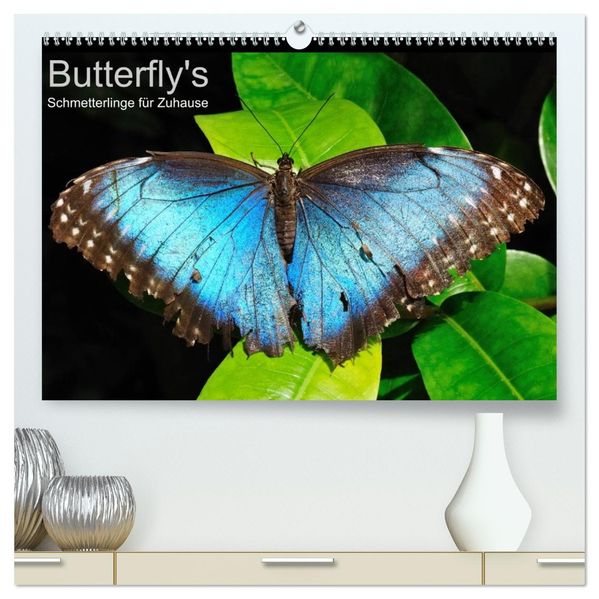 Butterfly's - Schmetterlinge für Zuhause (hochwertiger Premium Wandkalender 2026 DIN A2 quer) Kunstdruck in Hochglanz