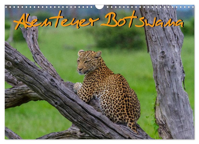 Abenteuer Botswana Afrika - Adventure Botswana (Wandkalender 2026 DIN A3 quer) CALVENDO Monatskalender