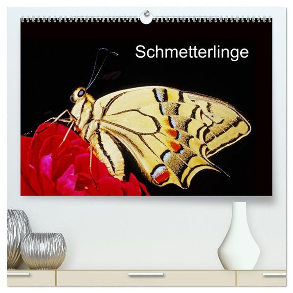 Schmetterlinge (hochwertiger Premium Wandkalender 2026 DIN A2 quer) Kunstdruck in Hochglanz