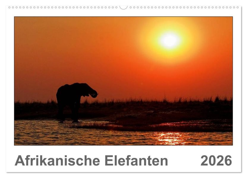 Afrikanische Elefanten (Wandkalender 2026 DIN A2 quer) CALVENDO Monatskalender