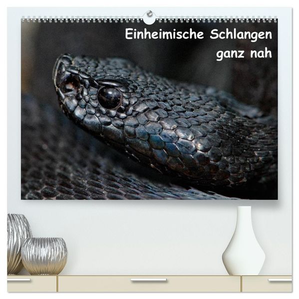 Einheimische Schlangen ganz nah (hochwertiger Premium Wandkalender 2026 DIN A2 quer) Kunstdruck in Hochglanz