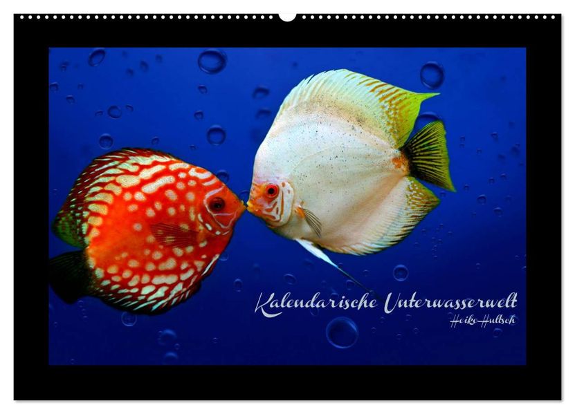 Kalendarische Unterwasserwelt (Wandkalender 2026 DIN A2 quer) CALVENDO Monatskalender