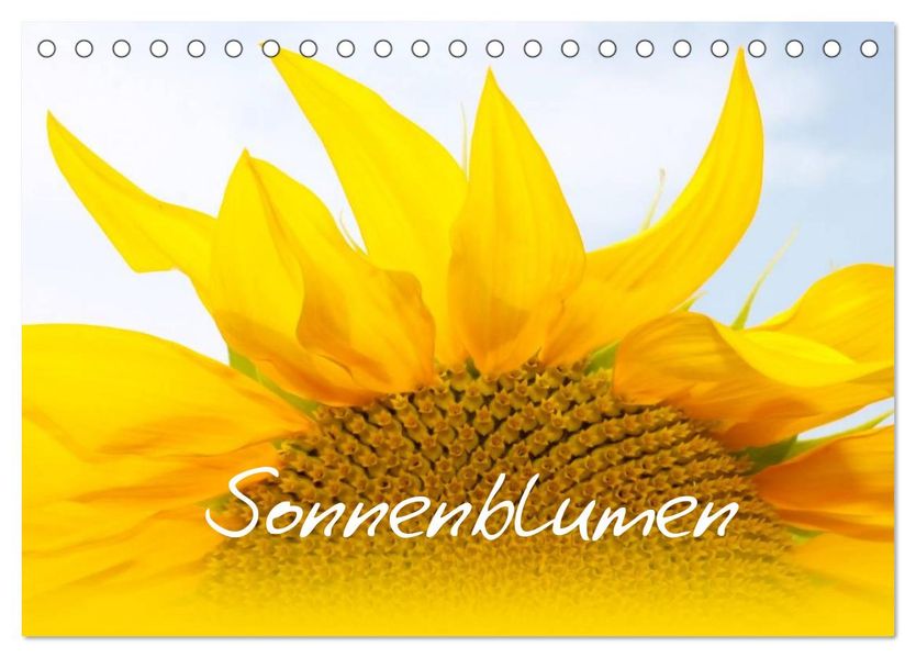 Sonnenblumen - die Blumen der Lebensfreude (Tischkalender 2026 DIN A5 quer) CALVENDO Monatskalender