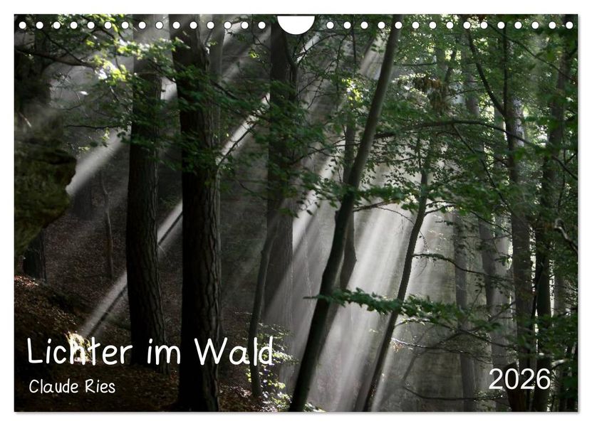 Lichter im Wald (Wandkalender 2026 DIN A4 quer) CALVENDO Monatskalender