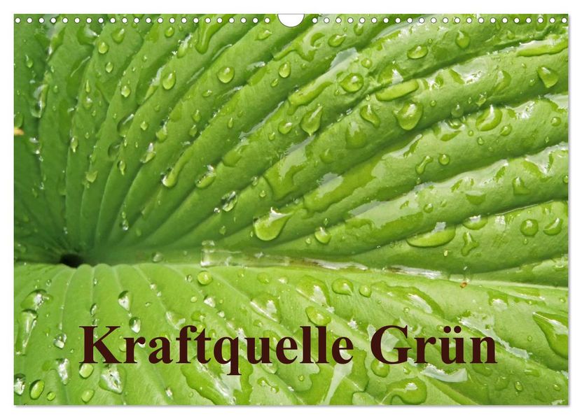 Kraftquelle Grün (Wandkalender 2026 DIN A3 quer) CALVENDO Monatskalender