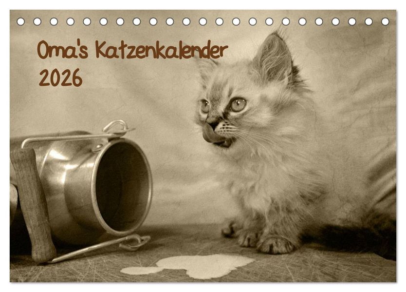 Oma's Katzenkalender 2026 (Tischkalender 2026 DIN A5 quer) CALVENDO Monatskalender