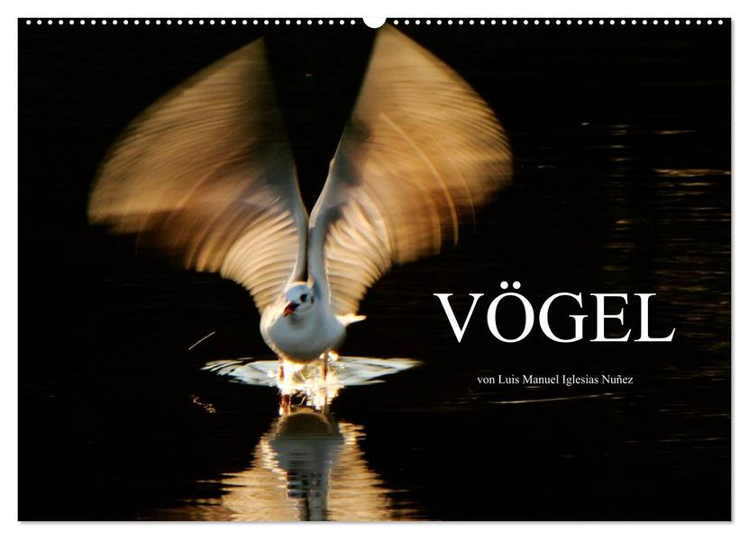 VÖGEL (Wandkalender 2026 DIN A2 quer) CALVENDO Monatskalender