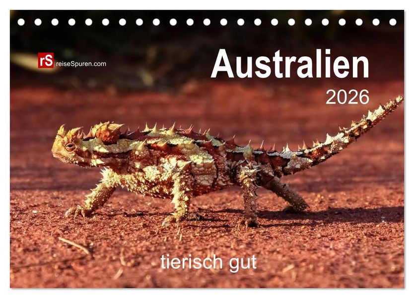 Australien tierisch gut 2026 (Tischkalender 2026 DIN A5 quer) CALVENDO Monatskalender