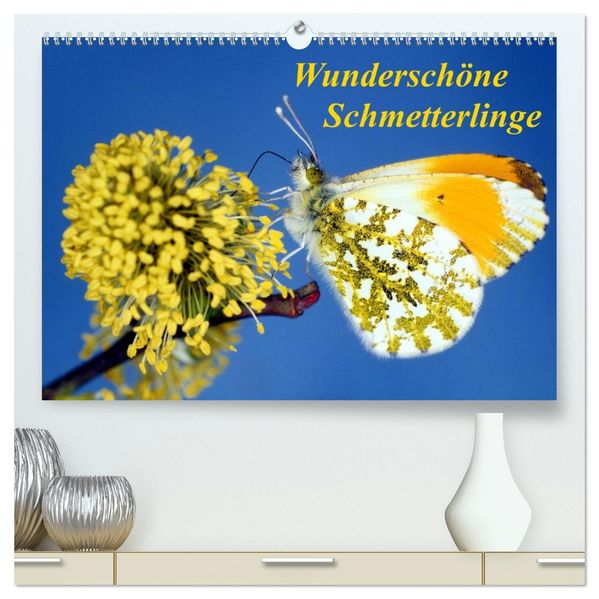 Wunderschöne Schmetterlinge (hochwertiger Premium Wandkalender 2026 DIN A2 quer) Kunstdruck in Hochglanz