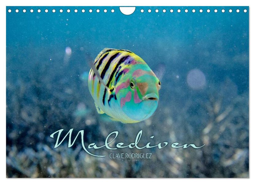 Unterwasserwelt der Malediven II (Wandkalender 2026 DIN A4 quer) CALVENDO Monatskalender