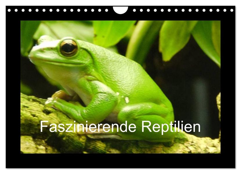 Faszinierende Reptilien (Wandkalender 2026 DIN A4 quer) CALVENDO Monatskalender