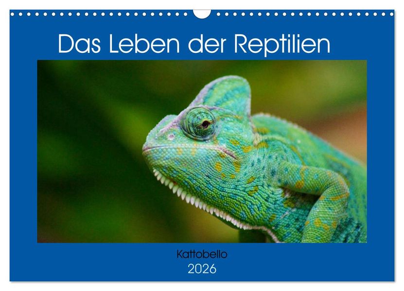 Das Leben der Reptilien (Wandkalender 2026 DIN A3 quer) CALVENDO Monatskalender