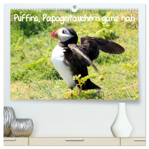 Puffins Papageitauchern ganz nah (hochwertiger Premium Wandkalender 2026 DIN A2 quer) Kunstdruck in Hochglanz