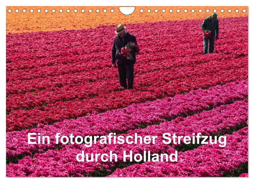 Ein fotografischer Streifzug durch Holland (Wandkalender 2026 DIN A4 quer) CALVENDO Monatskalender