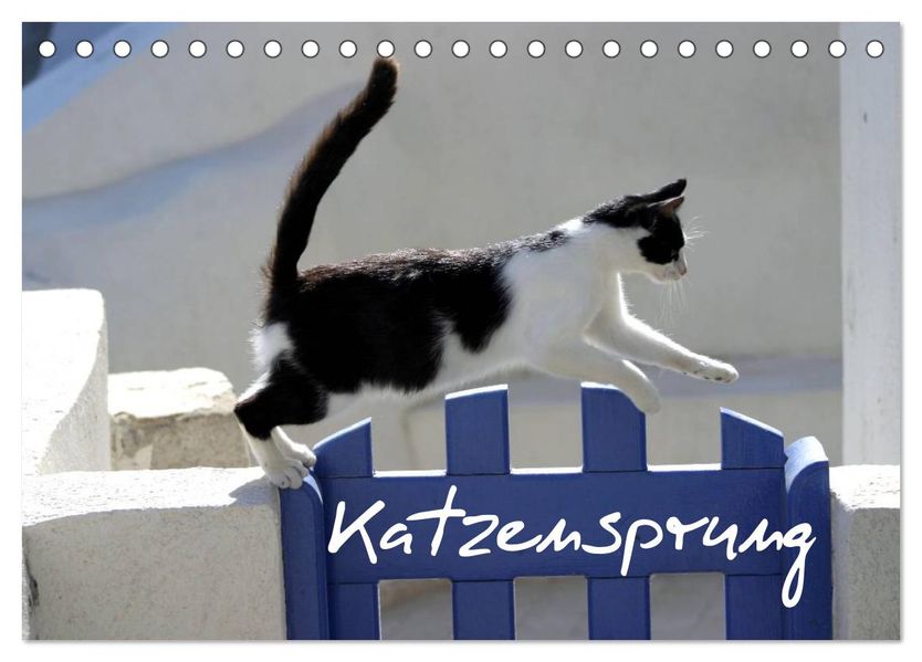 Katzensprung (Tischkalender 2026 DIN A5 quer) CALVENDO Monatskalender