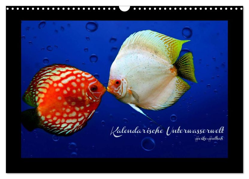 Kalendarische Unterwasserwelt (Wandkalender 2026 DIN A3 quer) CALVENDO Monatskalender