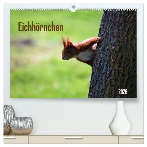 Eichhörnchen (hochwertiger Premium Wandkalender 2026 DIN A2 quer) Kunstdruck in Hochglanz