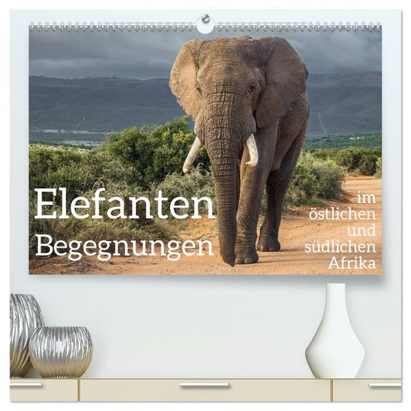 Elefanten Begegnungen im östlichen und südlichen Afrika (hochwertiger Premium Wandkalender 2026 DIN A2 quer) Kunstdruck in Hochglanz