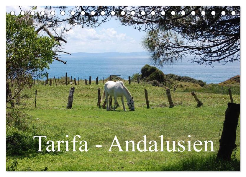 Tarifa - Andalusien (Tischkalender 2026 DIN A5 quer) CALVENDO Monatskalender