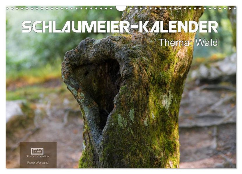 Schlaumeier-Kalender - Thema: Wald (Wandkalender 2026 DIN A3 quer) CALVENDO Monatskalender