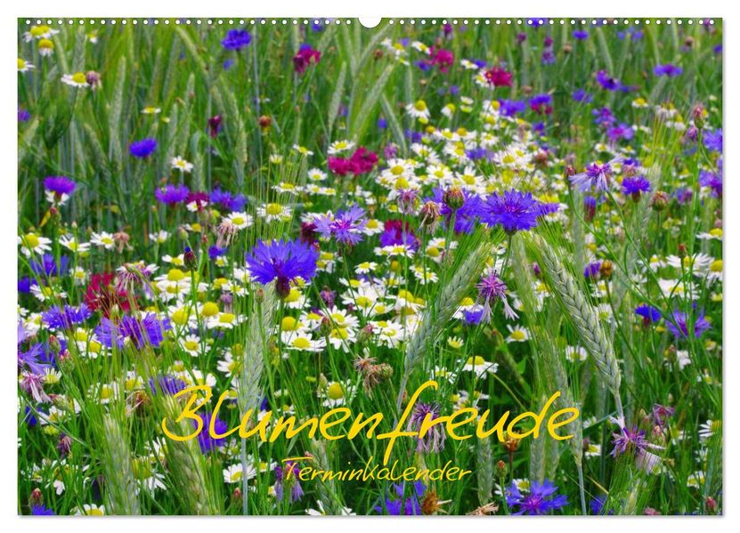 Blumenfreude Schweizer Kalendarium (Wandkalender 2026 DIN A2 quer) CALVENDO Monatskalender