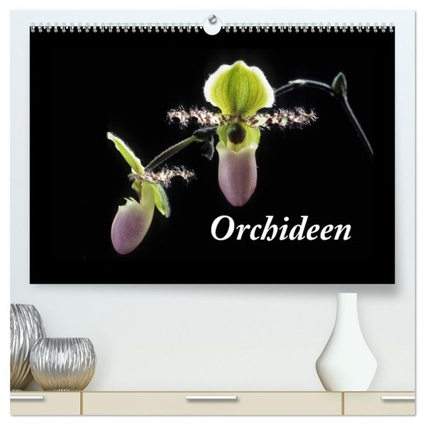 Orchideen 2026 (hochwertiger Premium Wandkalender 2026 DIN A2 quer) Kunstdruck in Hochglanz