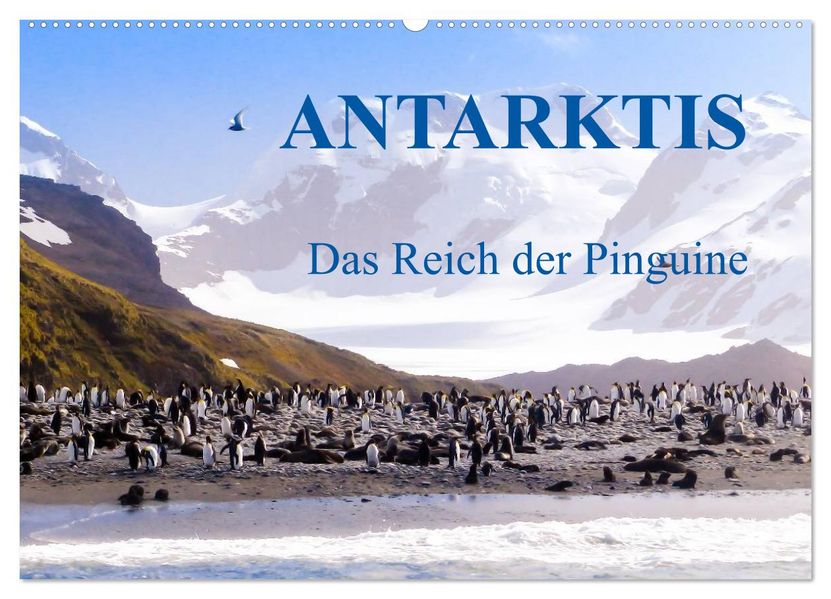 Antarktis - Das Reich der Pinguine (Wandkalender 2026 DIN A2 quer) CALVENDO Monatskalender