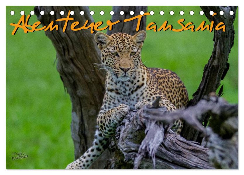 Abenteuer Tansania Afrika (Tischkalender 2026 DIN A5 quer) CALVENDO Monatskalender