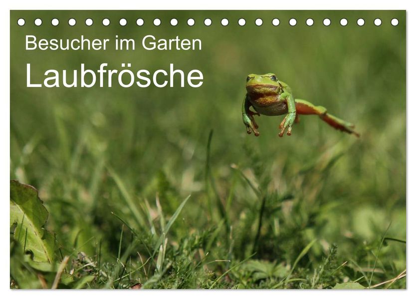 Besucher im Garten - Laubfrösche (Tischkalender 2026 DIN A5 quer) CALVENDO Monatskalender