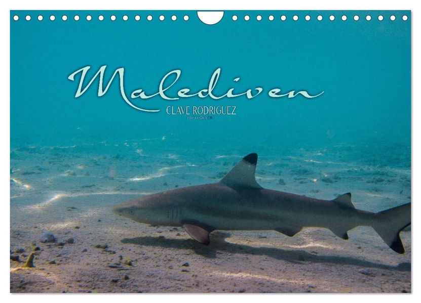 Unterwasserwelt der Malediven I (Wandkalender 2026 DIN A4 quer) CALVENDO Monatskalender