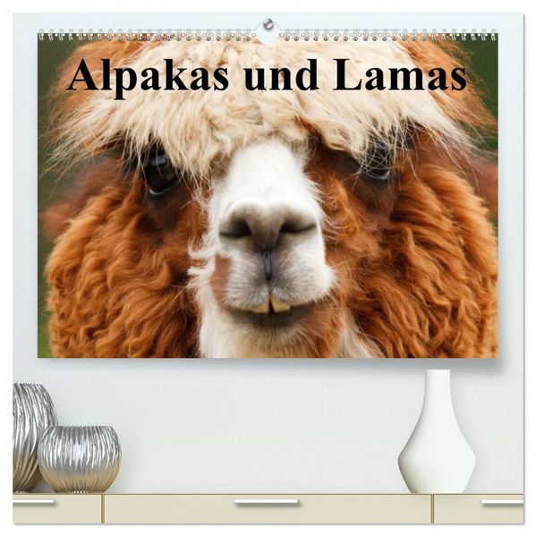 Alpakas und Lamas (hochwertiger Premium Wandkalender 2026 DIN A2 quer) Kunstdruck in Hochglanz