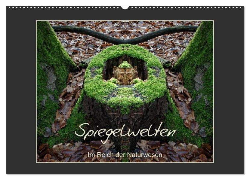 Spiegelwelten - Im Reich der Naturwesen (Wandkalender 2026 DIN A2 quer) CALVENDO Monatskalender