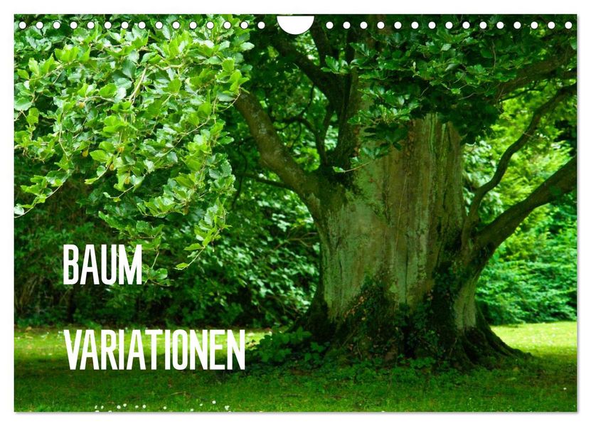 Baum-Variationen (Wandkalender 2026 DIN A4 quer) CALVENDO Monatskalender