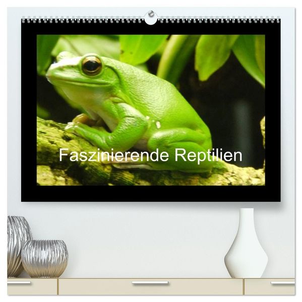 Faszinierende Reptilien (hochwertiger Premium Wandkalender 2026 DIN A2 quer) Kunstdruck in Hochglanz