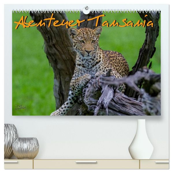 Abenteuer Tansania Afrika (hochwertiger Premium Wandkalender 2026 DIN A2 quer) Kunstdruck in Hochglanz