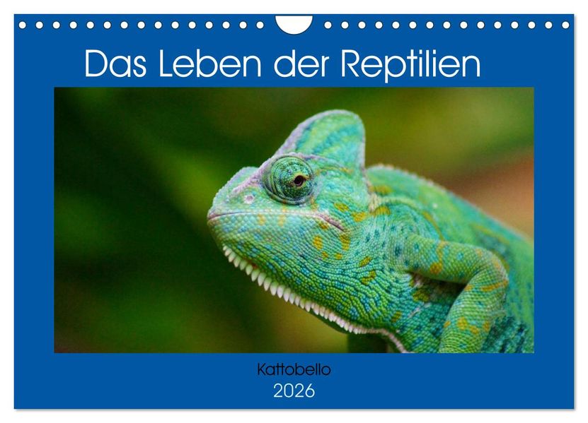 Das Leben der Reptilien (Wandkalender 2026 DIN A4 quer) CALVENDO Monatskalender