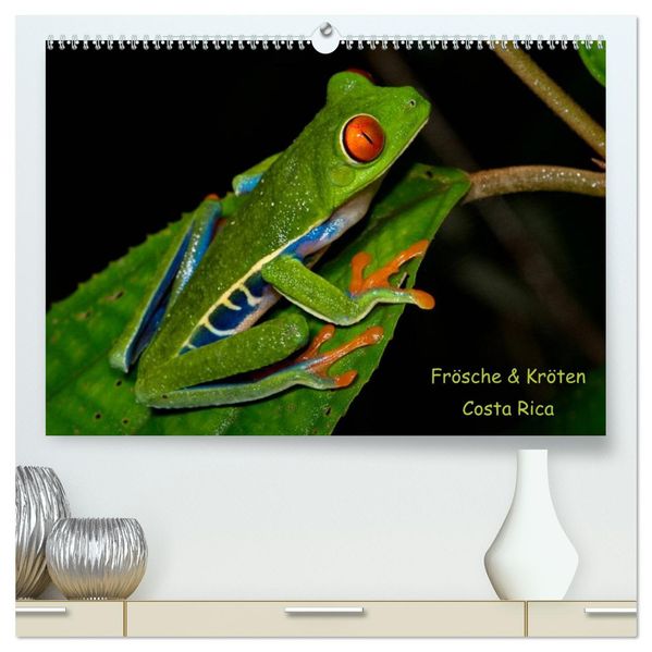 Frösche & Kröten Costa Rica (hochwertiger Premium Wandkalender 2026 DIN A2 quer) Kunstdruck in Hochglanz