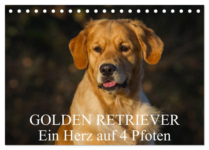 Golden Retriever - Ein Herz auf 4 Pfoten (Tischkalender 2026 DIN A5 quer) CALVENDO Monatskalender
