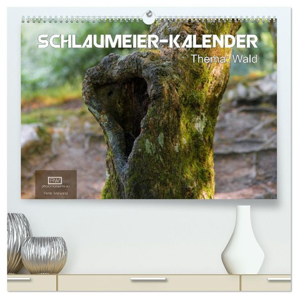 Schlaumeier-Kalender - Thema: Wald (hochwertiger Premium Wandkalender 2026 DIN A2 quer) Kunstdruck in Hochglanz