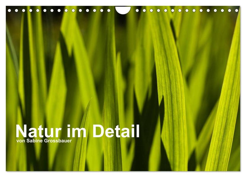 Natur im Detail (Wandkalender 2026 DIN A4 quer) CALVENDO Monatskalender