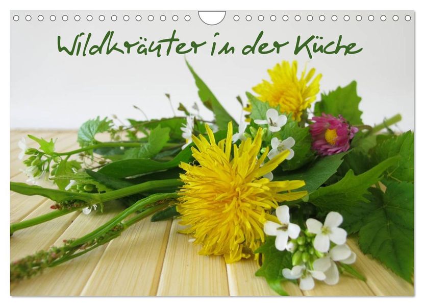 Wildkräuter in der Küche (Wandkalender 2026 DIN A4 quer) CALVENDO Monatskalender