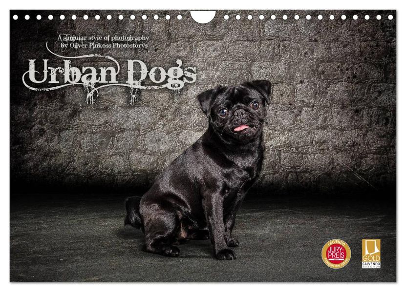 Urban Dogs - Hundekalender der anderen Art (Wandkalender 2026 DIN A4 quer) CALVENDO Monatskalender