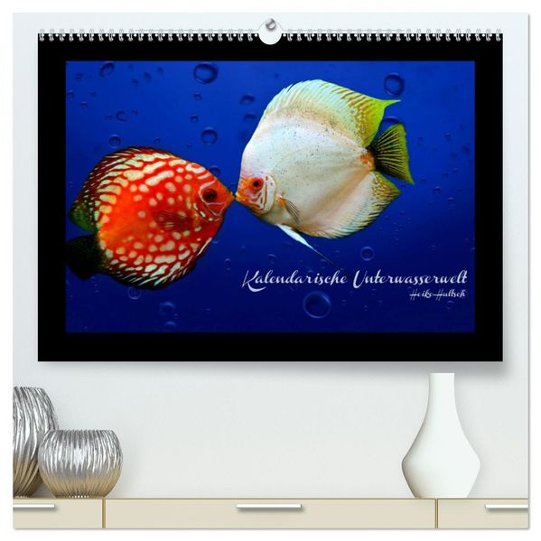 Kalendarische Unterwasserwelt (hochwertiger Premium Wandkalender 2026 DIN A2 quer) Kunstdruck in Hochglanz