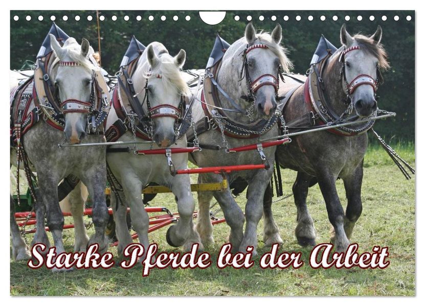 Starke Pferde bei der Arbeit (Wandkalender 2026 DIN A4 quer) CALVENDO Monatskalender