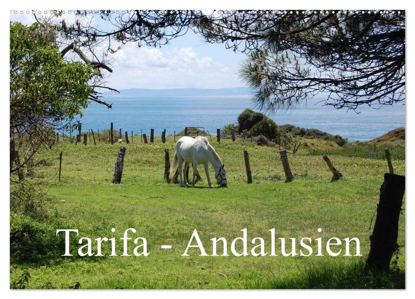 Tarifa - Andalusien (Wandkalender 2026 DIN A2 quer) CALVENDO Monatskalender