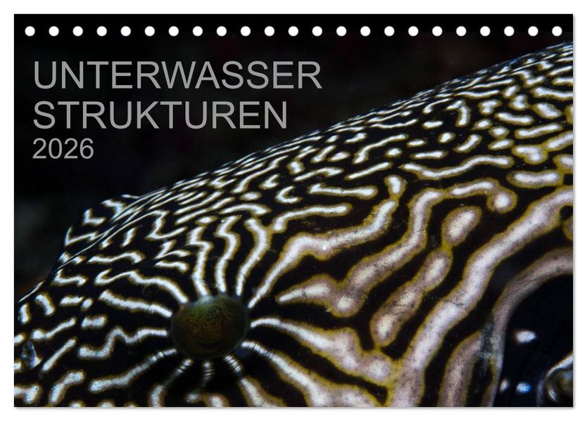 Unterwasser Strukuren (Tischkalender 2026 DIN A5 quer) CALVENDO Monatskalender