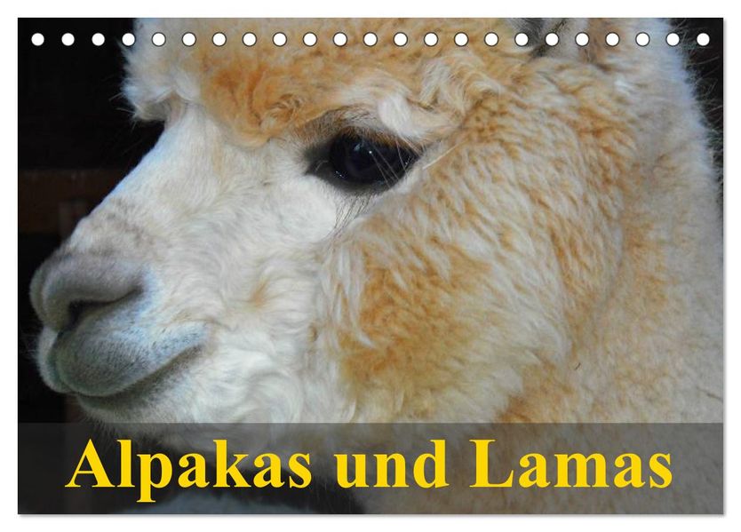 Alpakas und Lamas (Tischkalender 2026 DIN A5 quer) CALVENDO Monatskalender