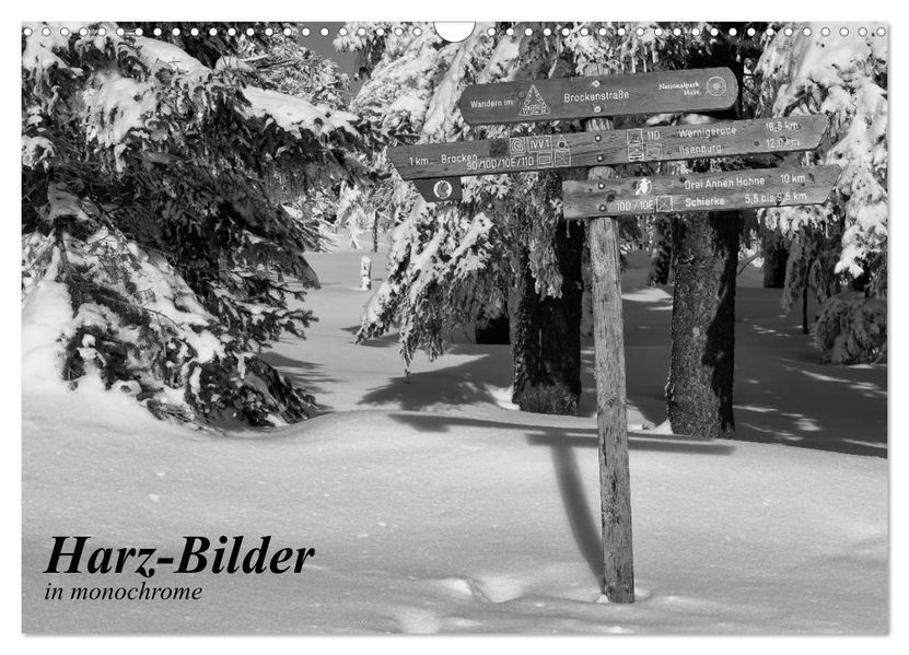 Harz-Bilder in monochrome (Wandkalender 2026 DIN A3 quer) CALVENDO Monatskalender